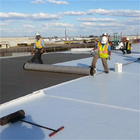 TPO Sheet Waterproofing Membrane With ASTM Standard Type Roof TPO Waterproofing Membrane