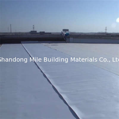 Tpo Waterproofing Membrane for Underground Projects ASTM Standard CE Report