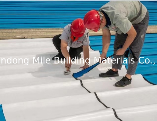Chinese manufacturers directly sell fiberglass reinforced polyvinyl chloride PVC waterproofing membranes for roofs