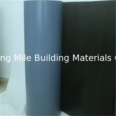 Free Sample PE PP Embossed Release Liner with Silicone Coated for Self-adhesive Waterproof Roll Materials