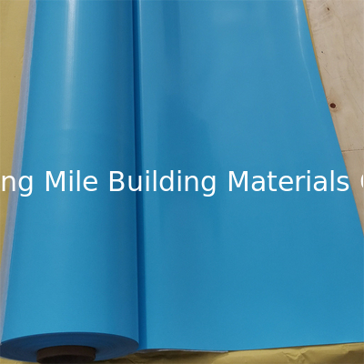 800GSM Double color PVC Coated fabric Swimming Pool Liner Waterproof PVC plastic Fabric for Swimming Pools