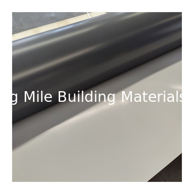 CE/ISO Certificate Manufacturer TPO Waterproof Membrane Roofing TPO Polymer Waterproof Sheet
