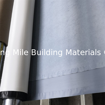 High Polymer Self-adhesive TPO Waterproof Membrane for Roofing