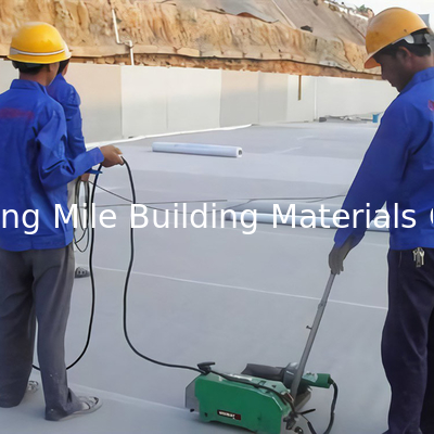Thermoplastic Polyolefin (TPO) Waterproof Membrane High Elongation Waterproof Material for Roofing