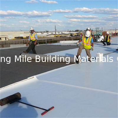 Homogeneous TPO Waterproof Membrane Smooth Version TPO Waterproof Material for Roofing
