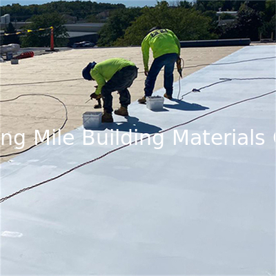 Homogeneous TPO Waterproof Membrane Smooth Version TPO Waterproof Material for Roofing