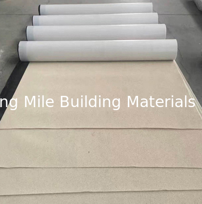 High Polymer Pre-Applied HDPE Waterproofing Membrane for Basement Projects