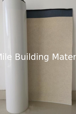 High Polymer Pre-Applied HDPE Waterproofing Membrane for Basement Projects