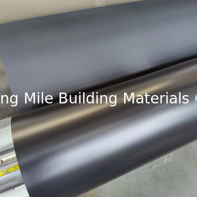 HDPE/EPDM Geomembrane Fish Pond Liner 0.5mm 0.75mm 1mm Waterproof Membrane Manufacturer Price