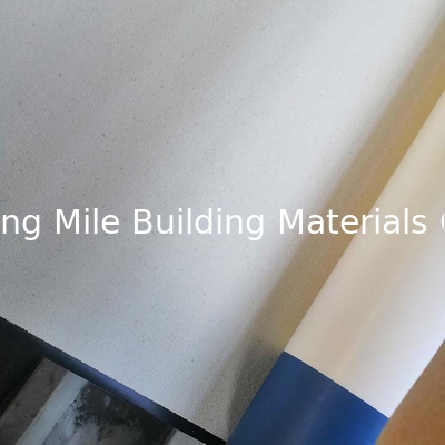 HDPE Self-adhesive Waterproof Membrane Pre-applied with Glue with Release Film for Retaining Walls