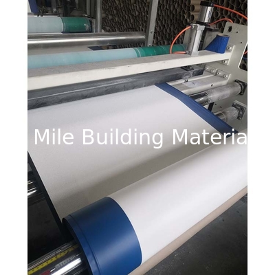 HDPE Self-adhesive Waterproof Membrane Pre-applied with Glue with Release Film for Retaining Walls