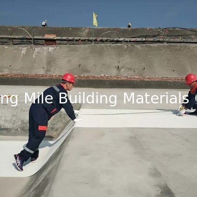HDPE Self-adhesive Waterproof Membrane Pre-applied with Glue with Release Film for Retaining Walls