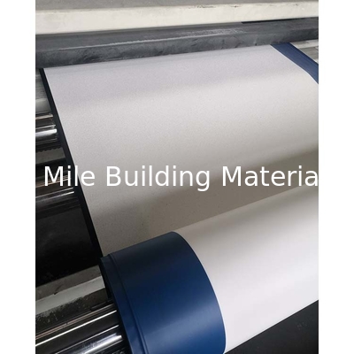 HDPE Self-adhesive Waterproof Membrane Pre-applied with Glue with Release Film for Retaining Walls