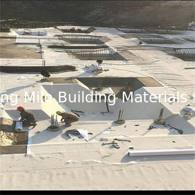 HDPE Sheet High Polymer Pre-applied Waterproof Membrane to Concrete