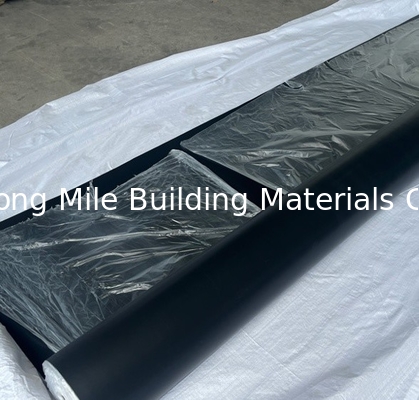 HDPE/EPDM Geomembrane Fish Pond Liner 0.5mm 0.75mm 1mm Waterproof Membrane Manufacturer Price