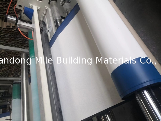 High Polymer Self-adhesive Waterproofing Membrane Pre-applied HDPE Waterproof Sheet
