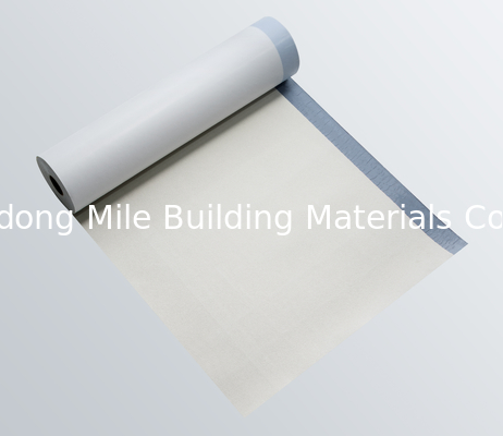Below Grade Waterproofing Membrane HDPE Pre Applied Waterproof Membrane Vapor Barrier ASTM Standard 2m Width