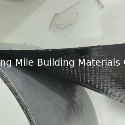0.7mm Thickness Butyl Rubber with PE NET Double Coated Self-adhesive Tape for Sealing Window Glass