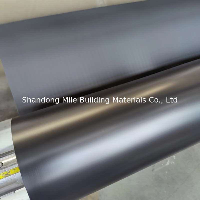 HDPE/EPDM Geomembrane Fish Pond Liner 0.5mm 0.75mm 1mm Waterproof Membrane Manufacturer Price